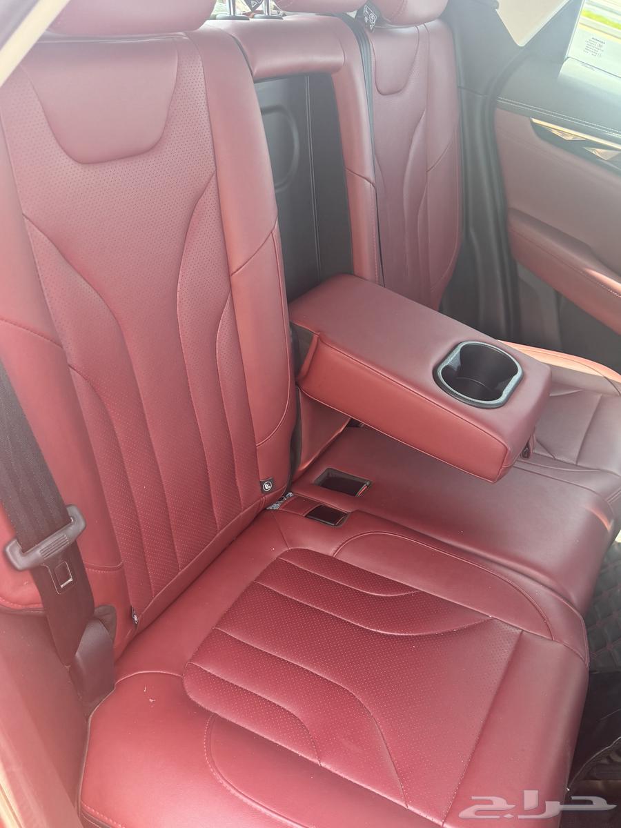 شانجان 8563183782435587112