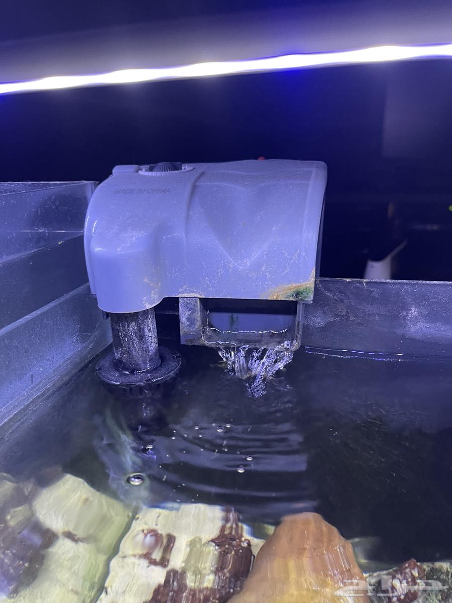 Fish tanks for sale63126401552643114