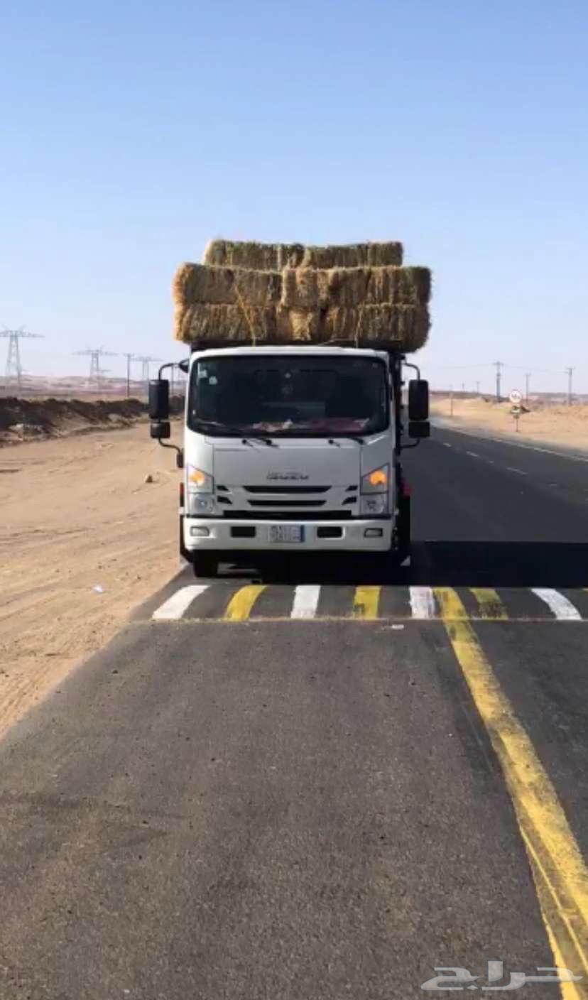 دينا ايسوزو وارد باخشب 2021 للبيع63184764877443113