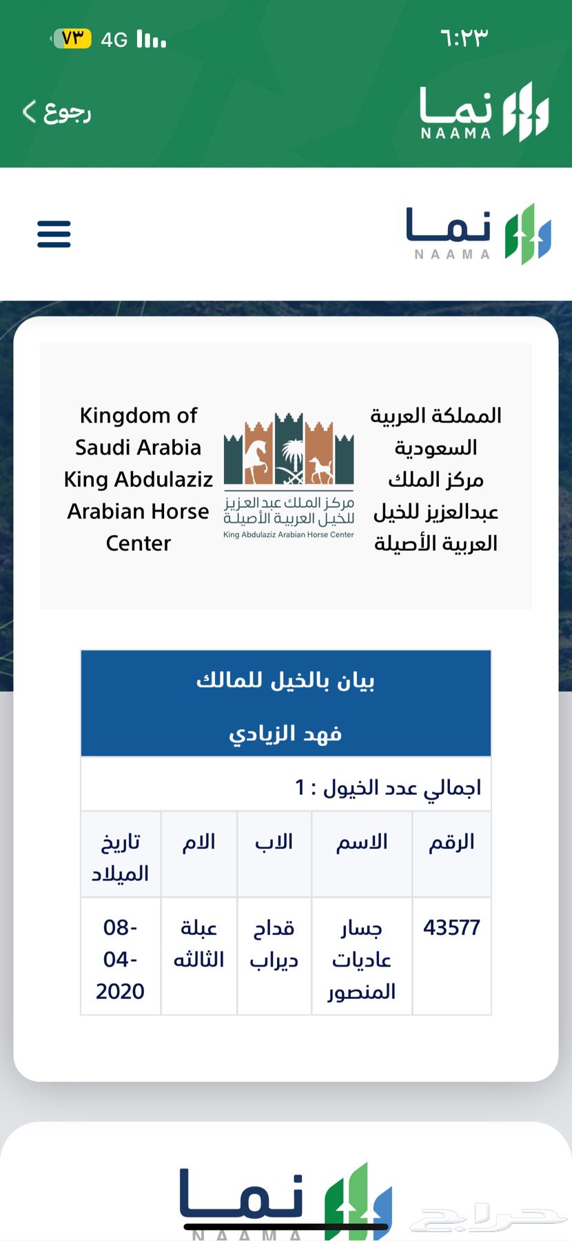 حصان واهو للبيع63175032197634113
