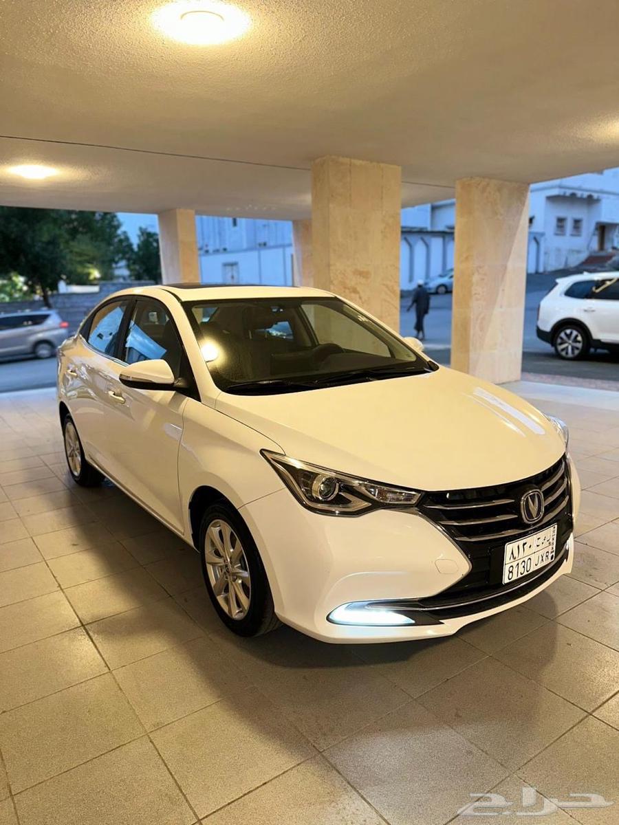 شانجان السفن 202563182806208769113