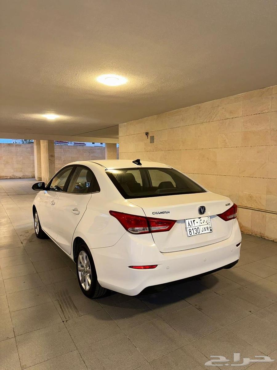 شانجان السفن 202563181807071235113