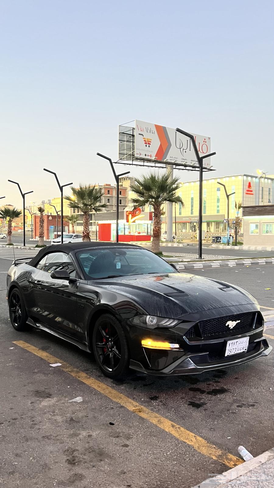 موستنق كشف 8 سلندر63181828023810111