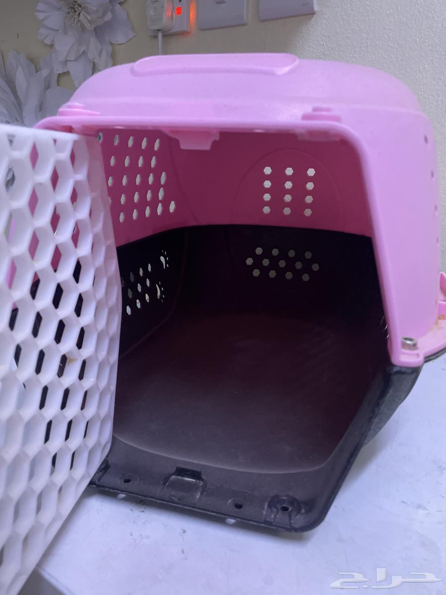A pink house for cats63489322276097112
