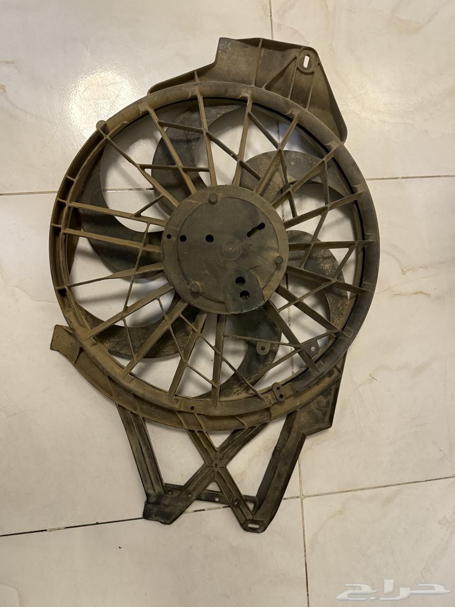 موستنج 200363179428310786111