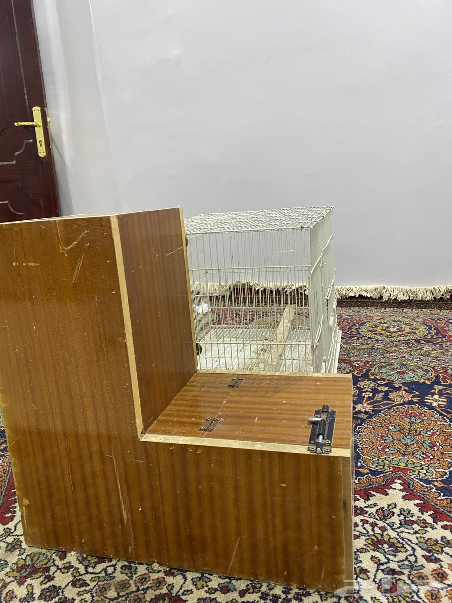 Cage and its whiteness, Dera Keenor Casco631244963859231111