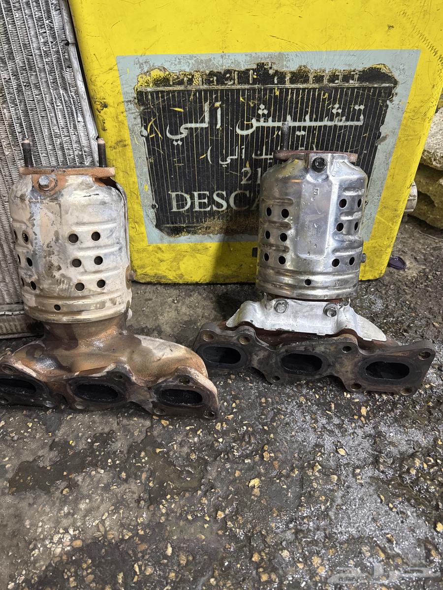 كادنزا63181342395778111