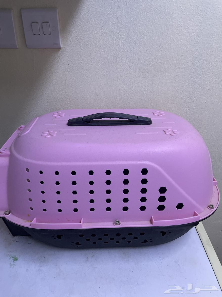 A pink house for cats63489322276097111