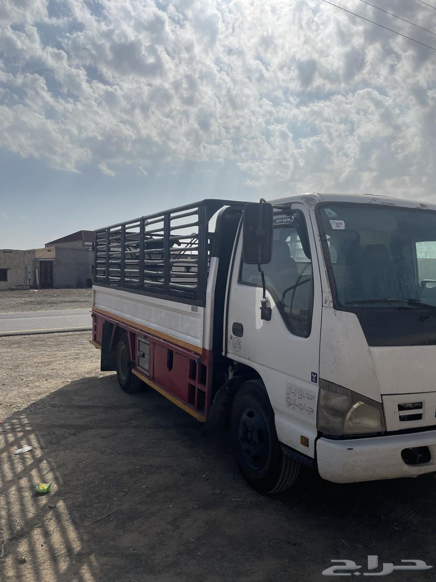 Dina for sale63180875615362112