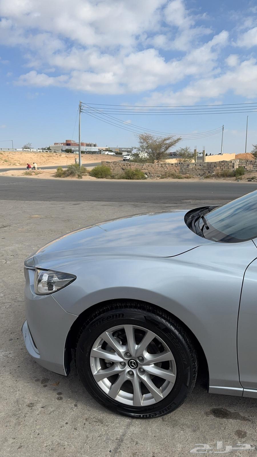 قير مكينه شرط صدام كبوت مغير من الوكاله63178479455745114