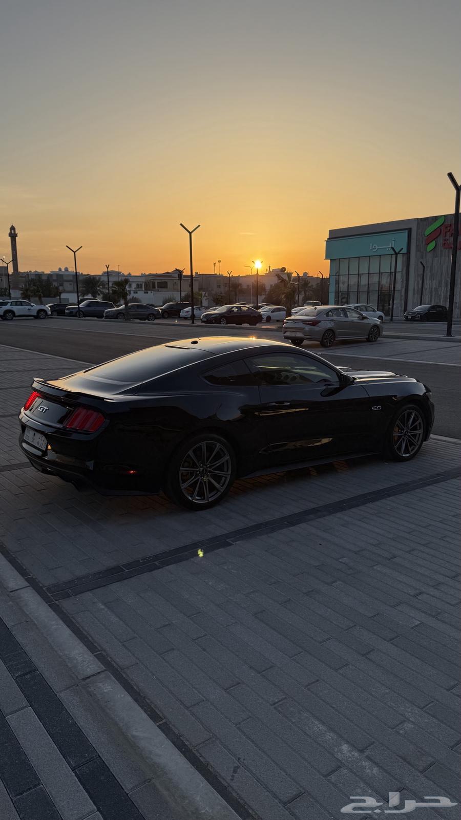 موستنج 2016 فل كامل 5.0 gt ممشى قليل63177159792770114