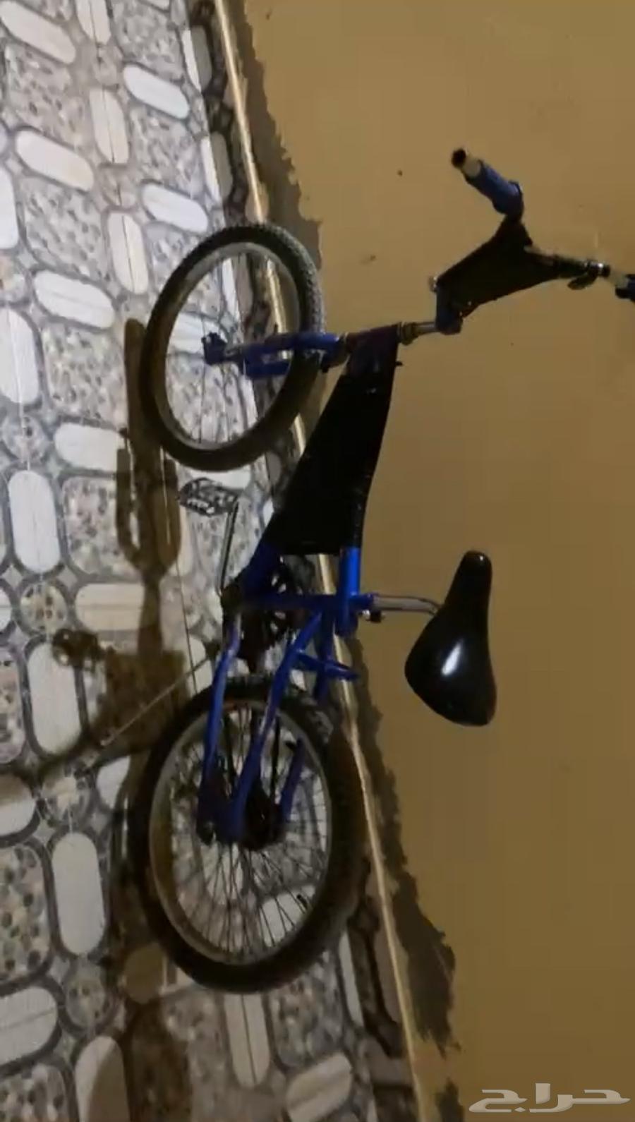سكل للبيع كوبرا مقاس 2063178946786946110