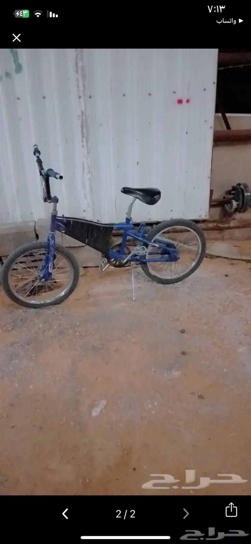 سكل للبيع كوبرا مقاس 2063178946786946112