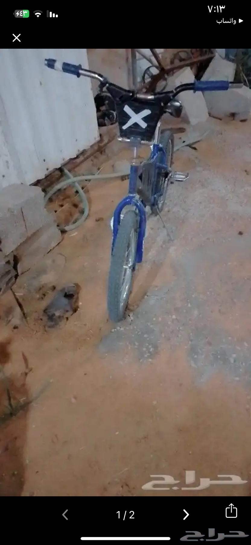 سكل للبيع كوبرا مقاس 2063178946786946111