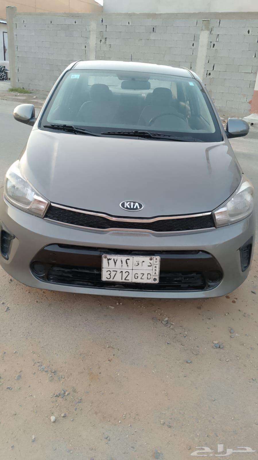 Pegas 202063177624012674114
