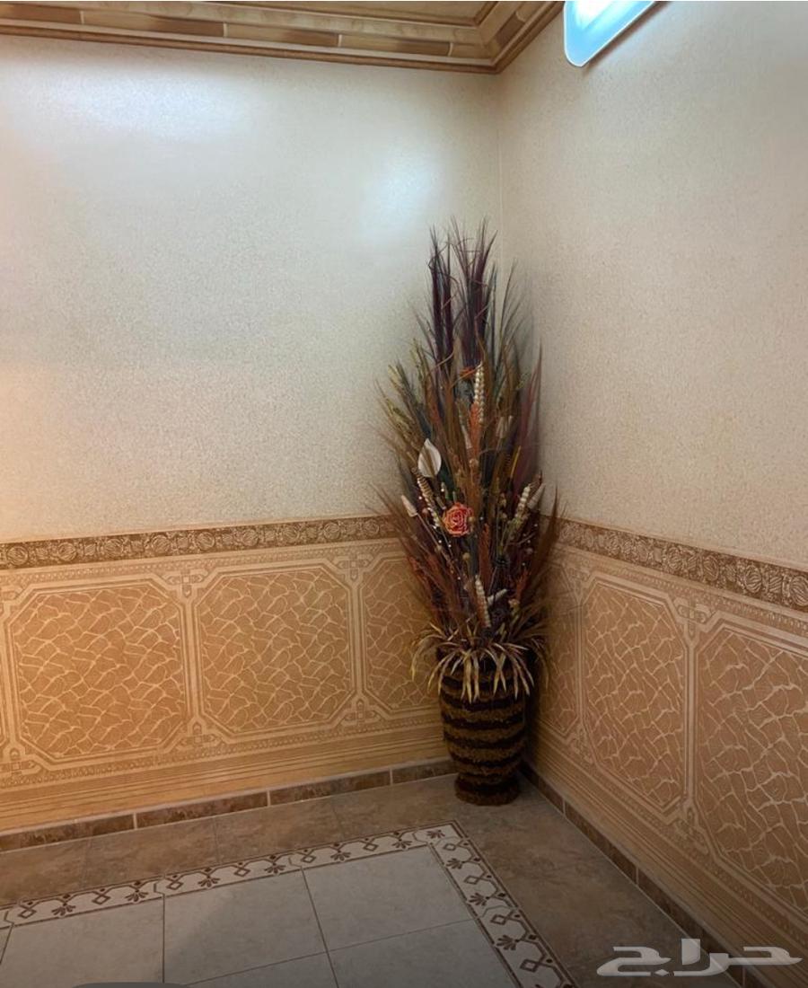 فيلا مع دور63011204604673114