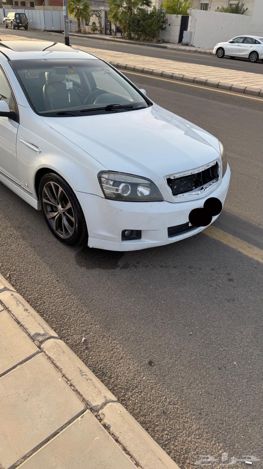 للبيع كابرس ss63175316069505111