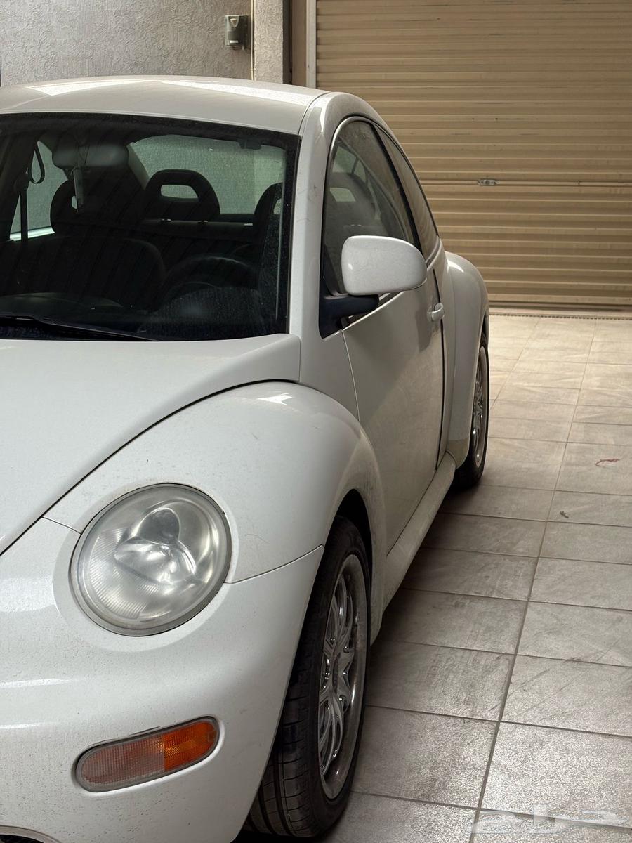 Beetle 98, walked a little63175787858691111
