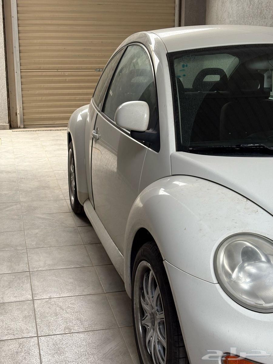 Beetle 98, walked a little63175787858691112