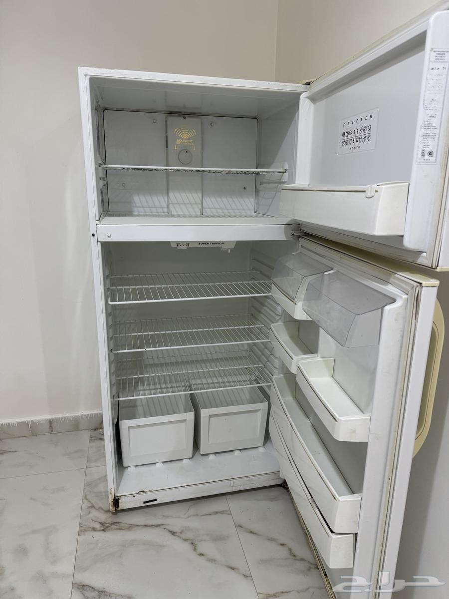 الخرج63118566156035113