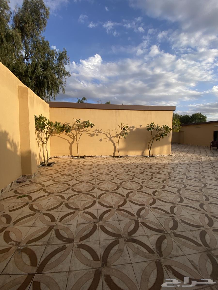 Annual rental rest area63015215083649113