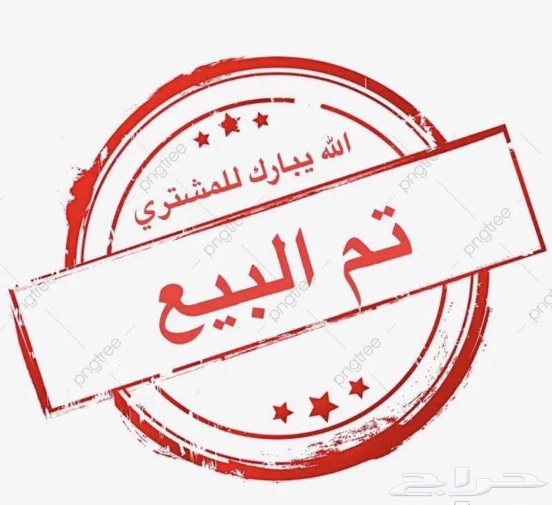 للبيع كويكر فايلوت عمر 4 اشهر63177344648963111