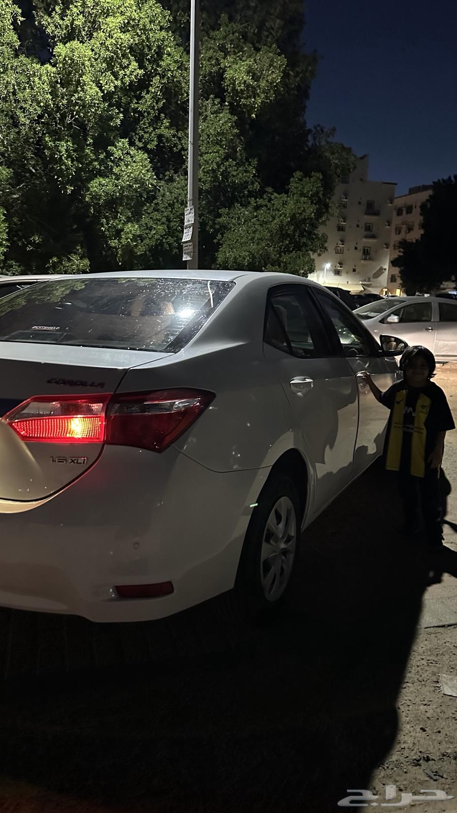 كوريلا 201563174359182595111