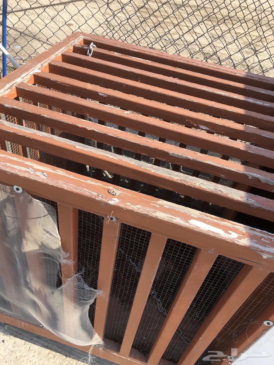 Wooden dog house (used)63115623912962113