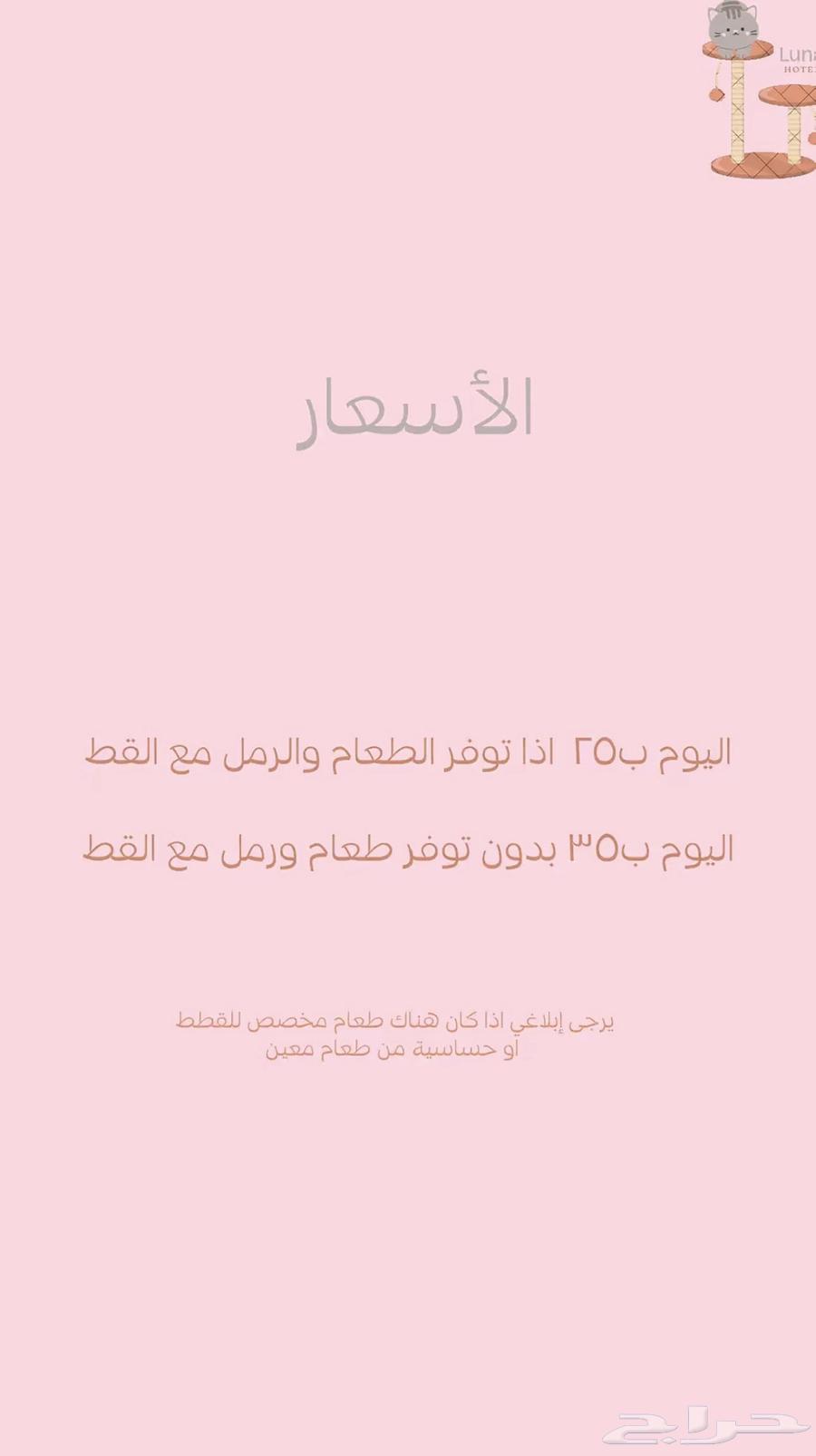 Cat Hotel Al-Khobar63114955361410111