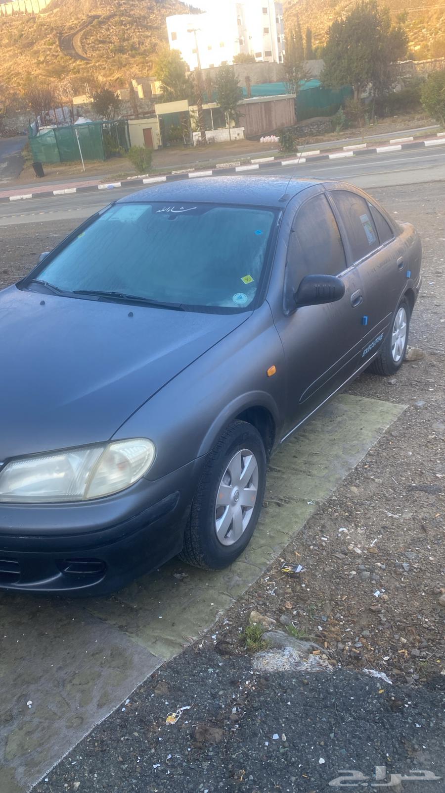 nessan sunny 200163172704922115111