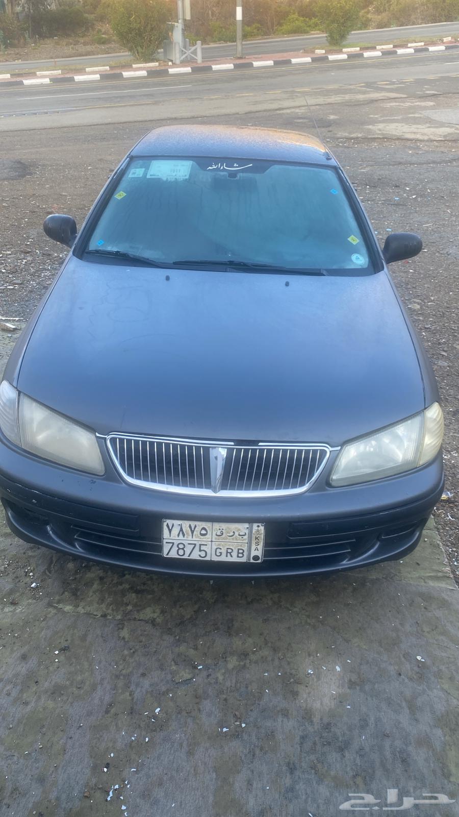 nessan sunny 200163172704922115113