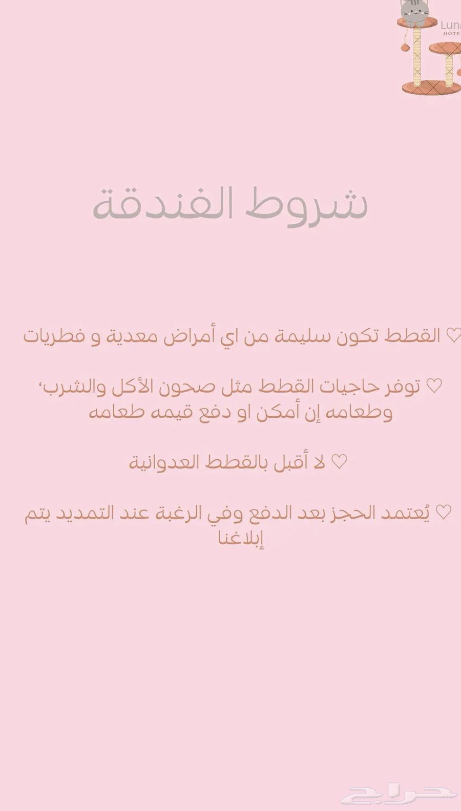 Cat Hotel Al-Khobar63114955361410111