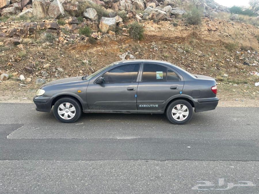 nessan sunny 200163172704922115113