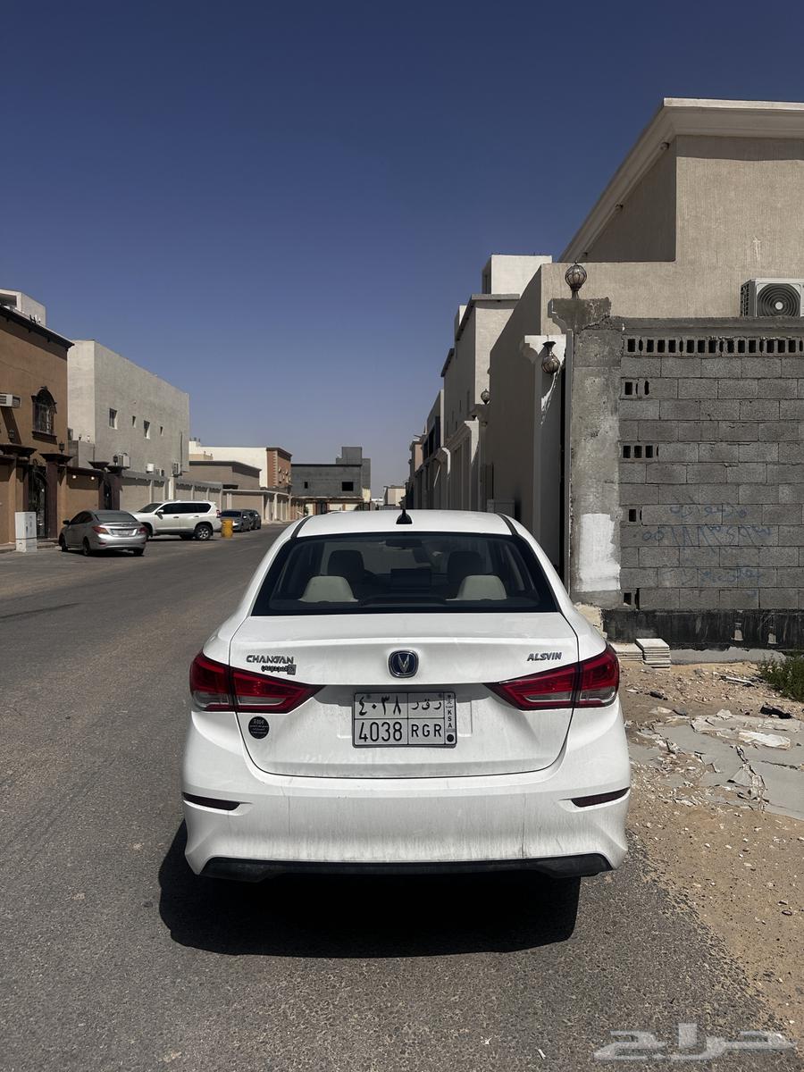 شانجان السفن63173571943939113