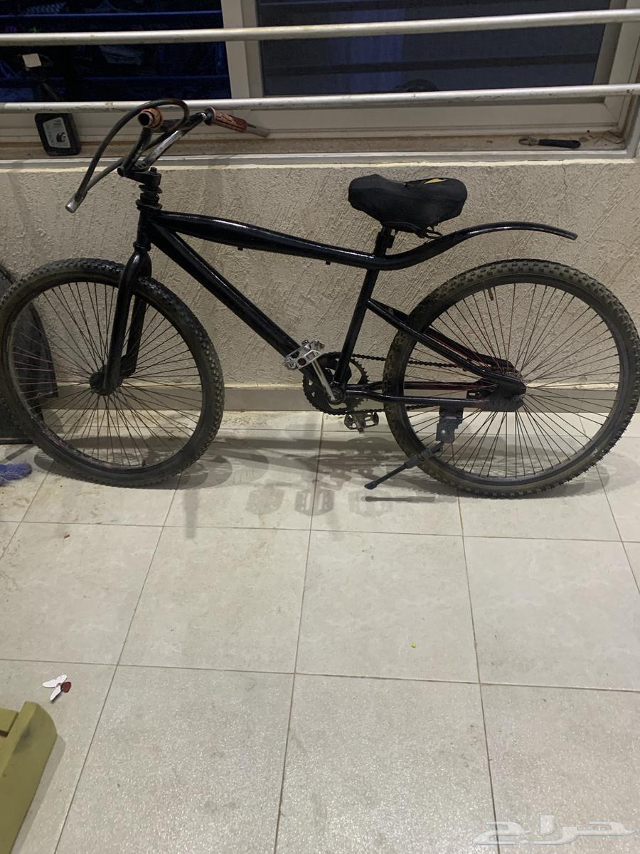 سيكل كوبرا للبيع بالخرج63113369540995113
