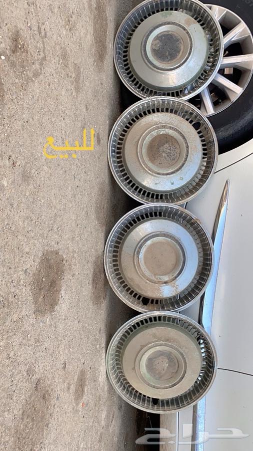 جنوط كرسيدا631735691284511124
