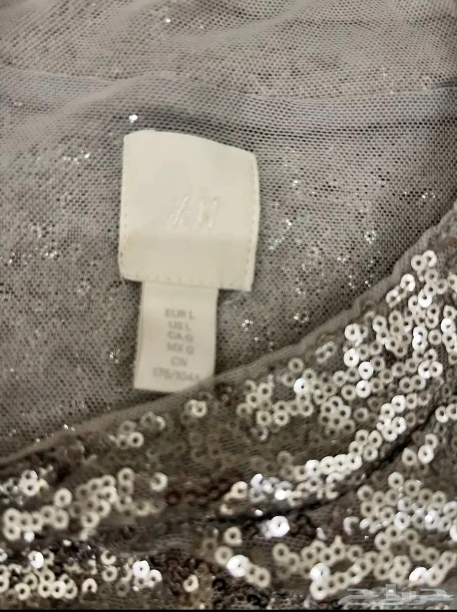 Silver sequin blouse from H M (worn alone only) clean size L63111540328579111