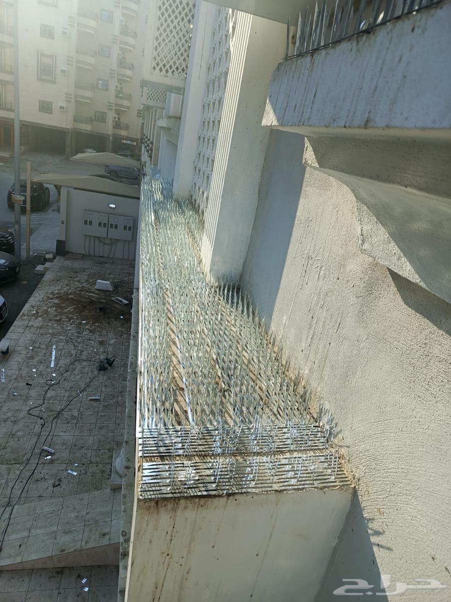 تركيب طارد حمام بجدة63018642515459113