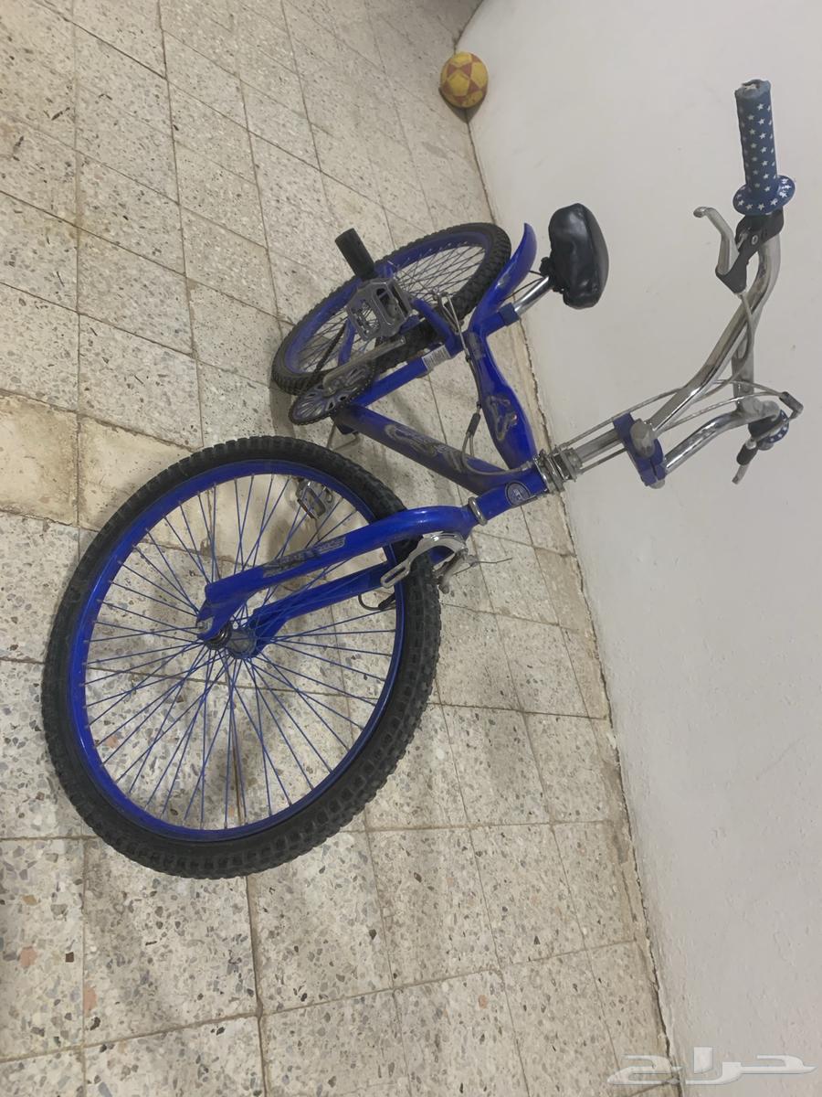 Original Cobra bicycle631126768386591119