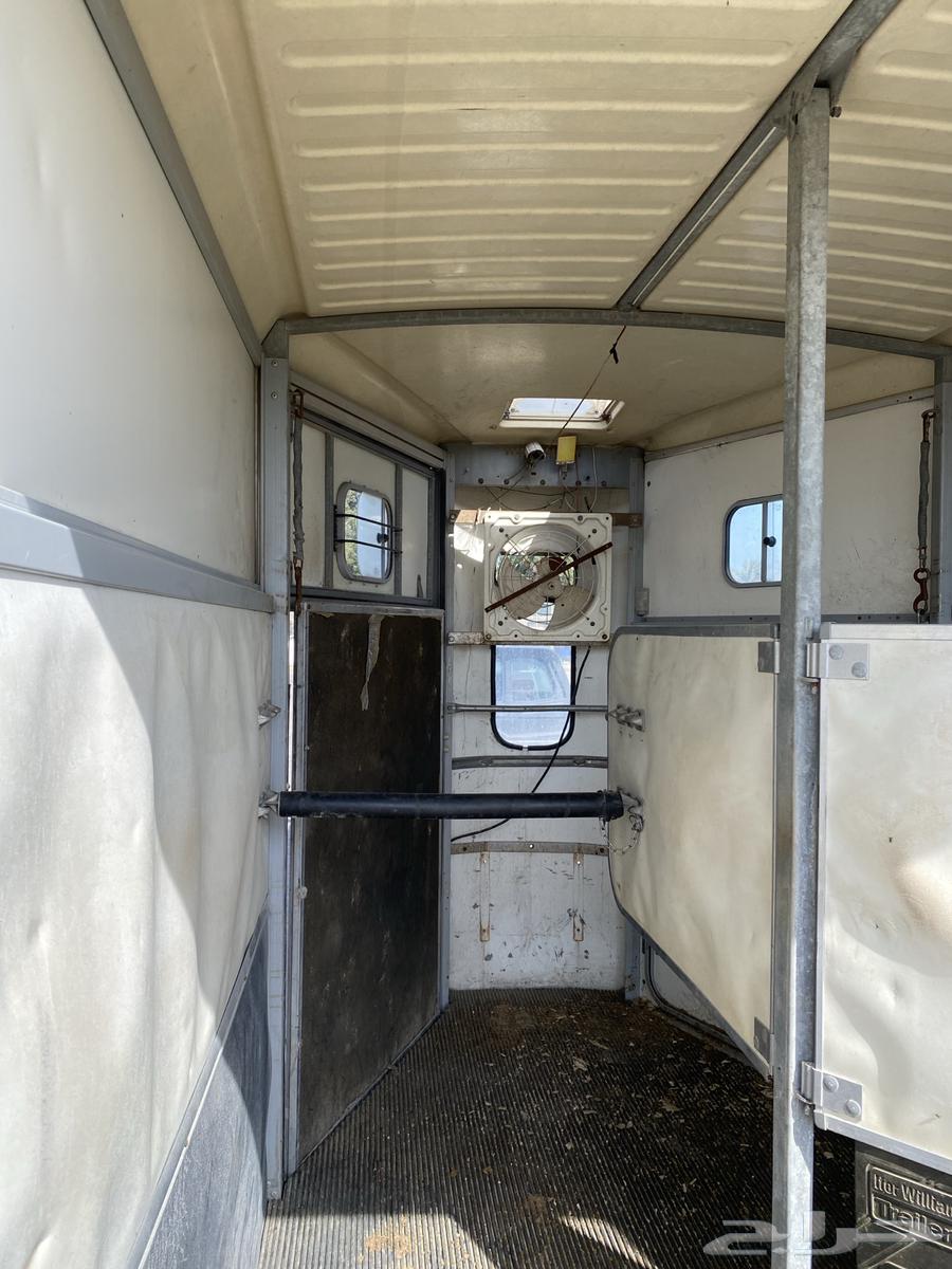 Horse transport trailer available in Dammam and its outskirts63111964376961114