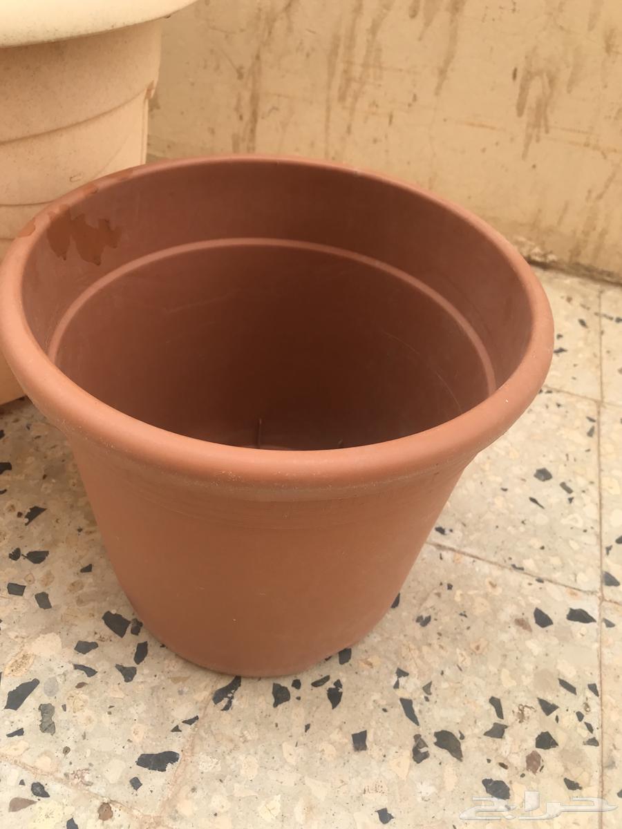 Agricultural basins63111531495938114