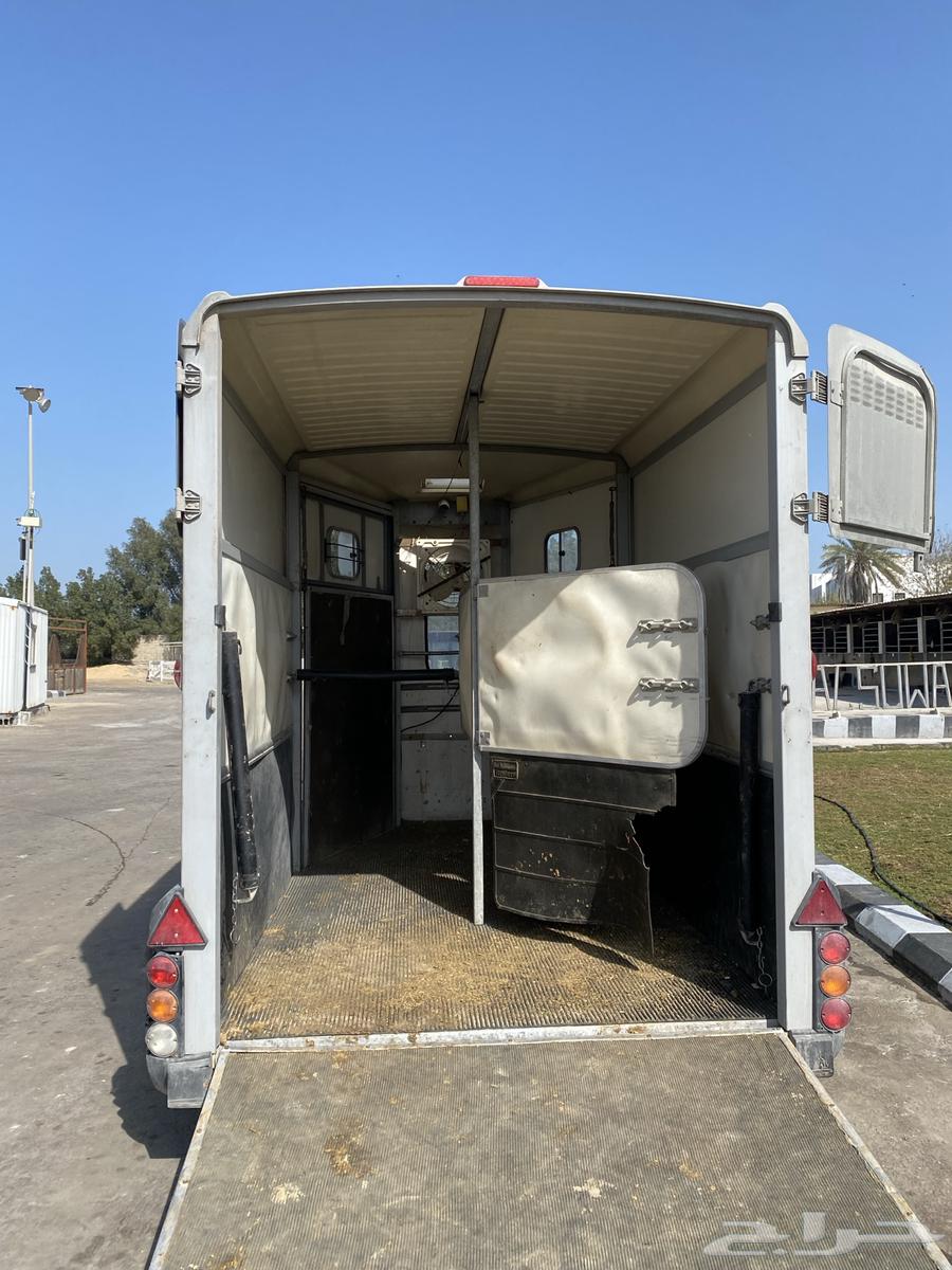 Horse transport trailer available in Dammam and its outskirts63111964376961112