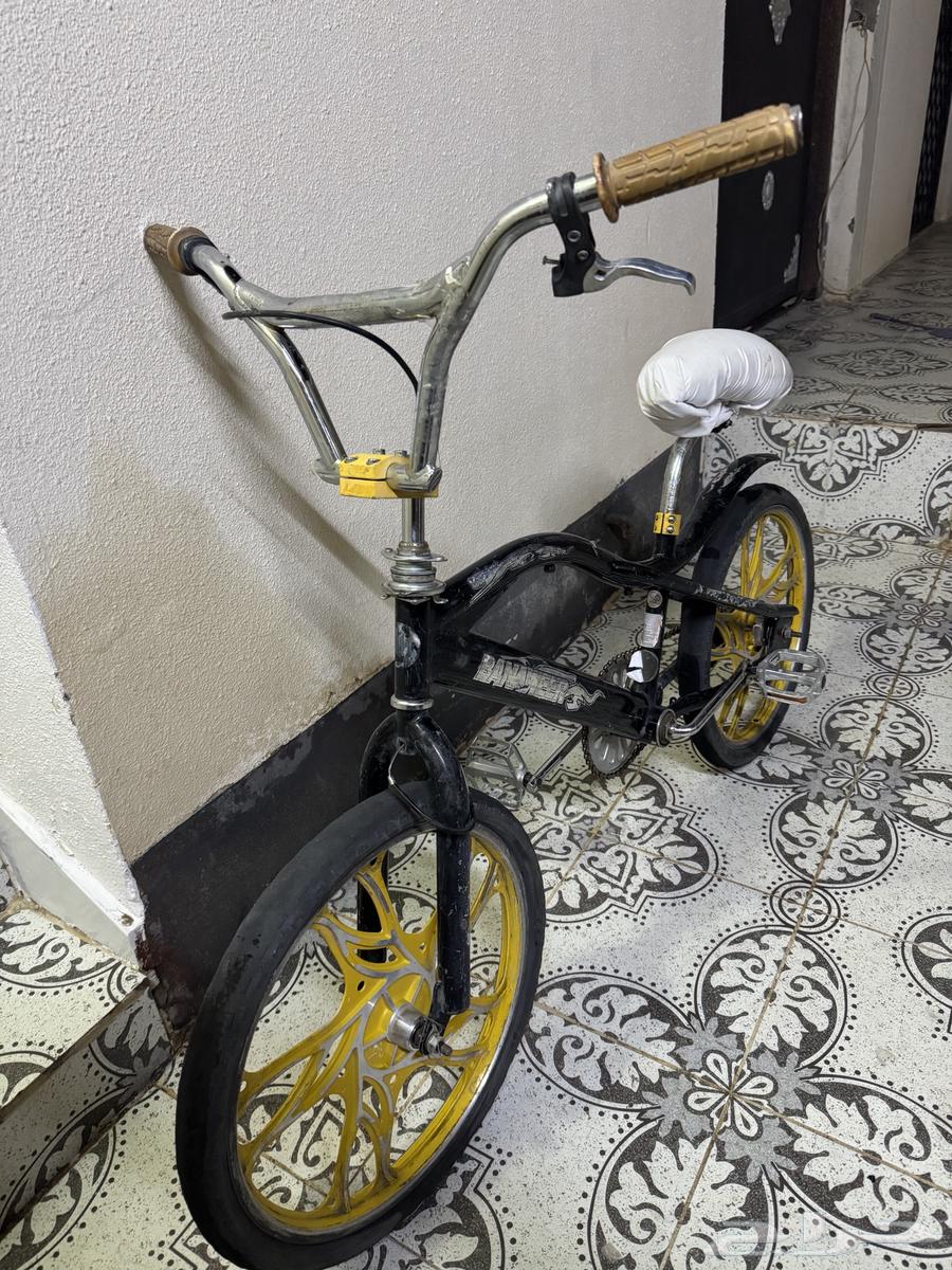 20" Cobra Bicycle with Nickel Rims631107967098911112