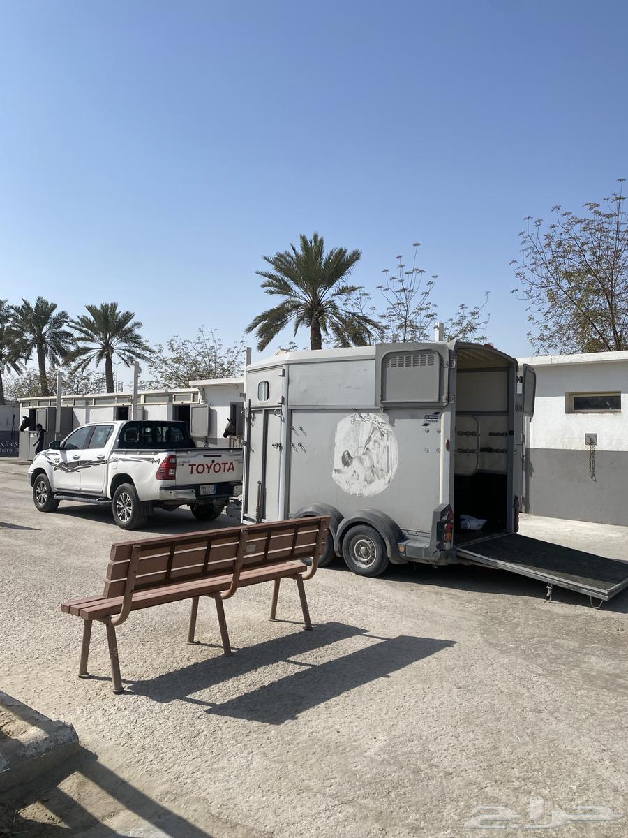 Horse transport trailer available in Dammam and its outskirts63111964376961119
