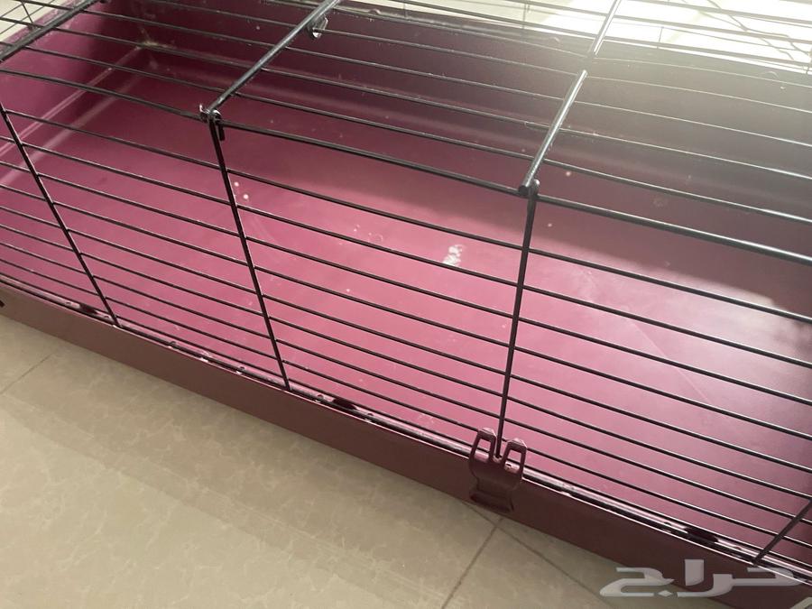 Large animal cage63111968748546114