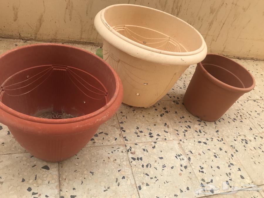Agricultural basins63111531495938113