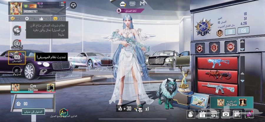 PUBG account63112672411651113