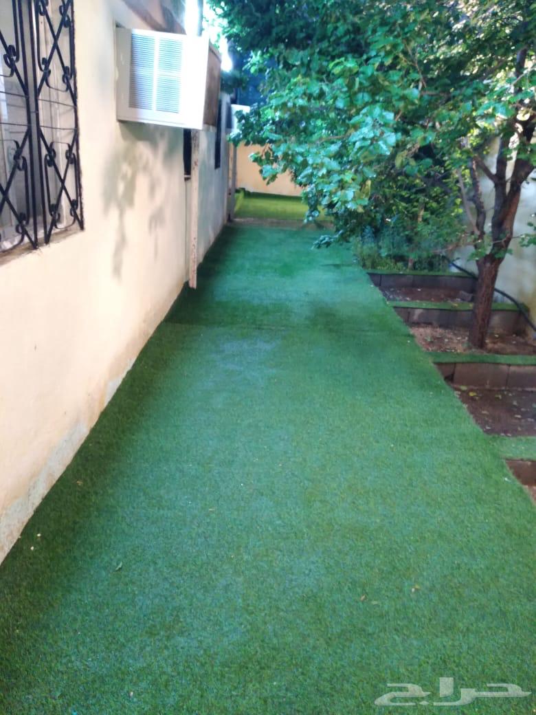 Rent break in Al-Shifa, Wadi Ghazal63016086385154111