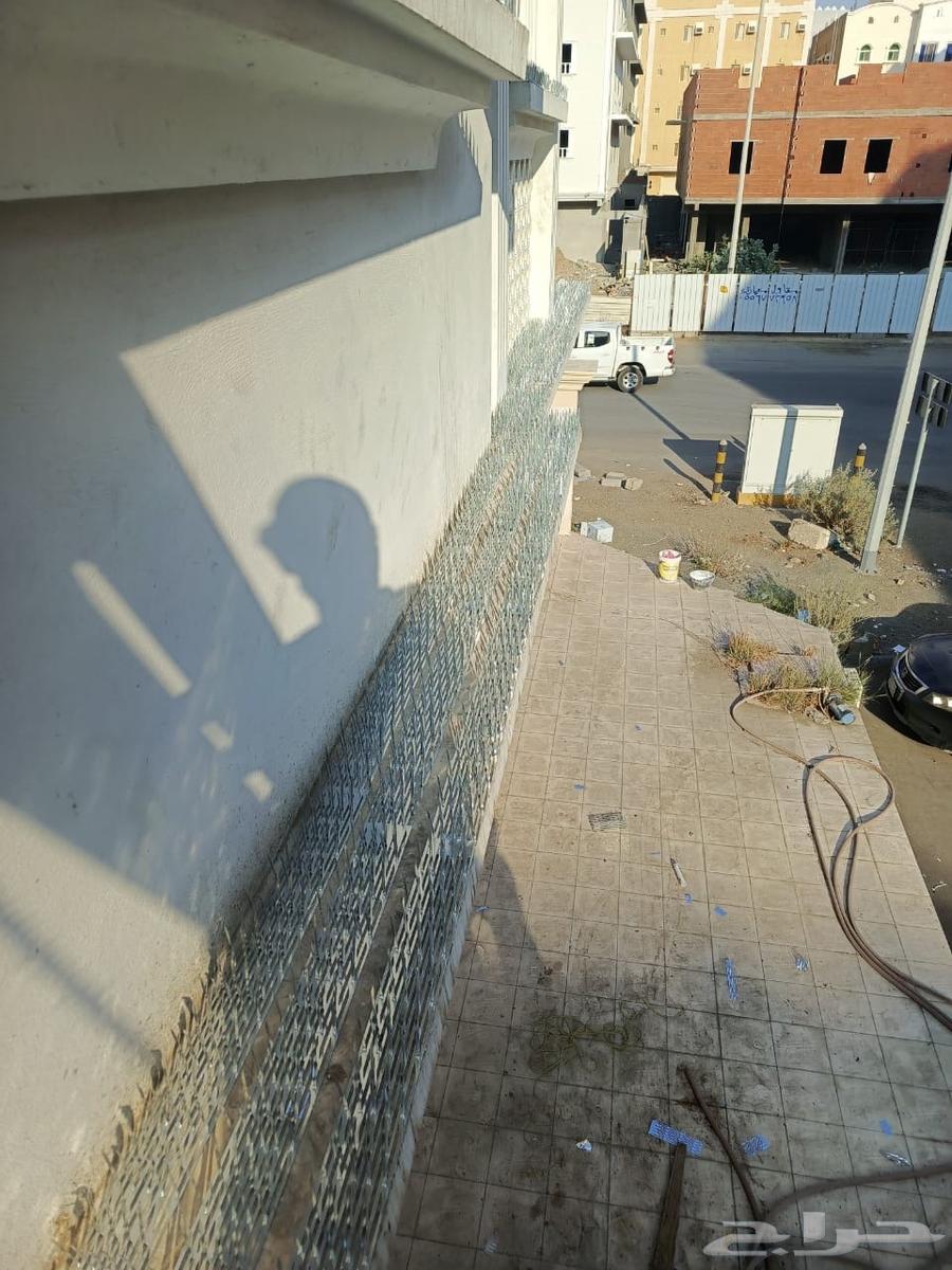 تركيب طارد حمام بجدة63018642515459112