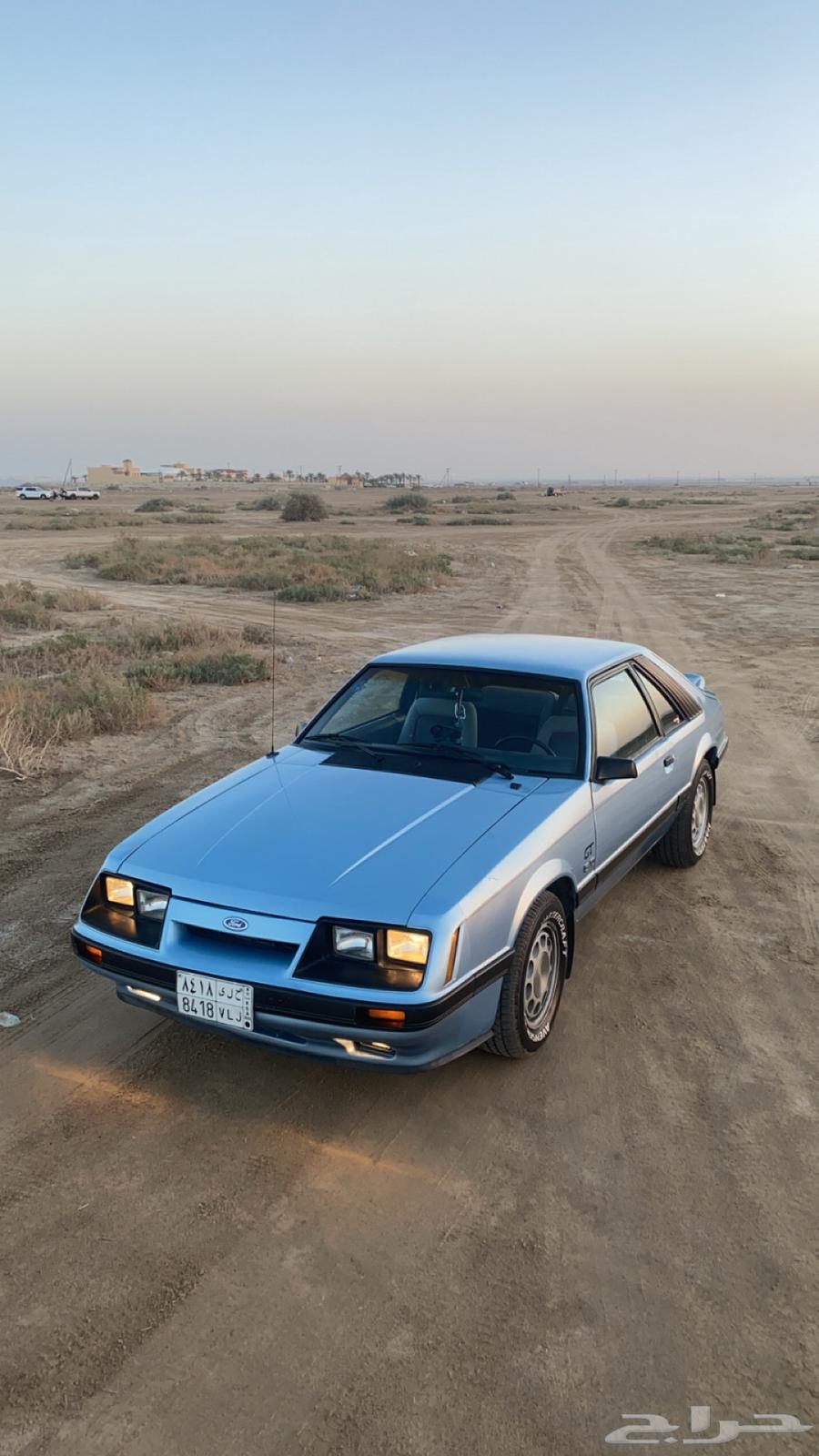موستنج 198563171364096259111